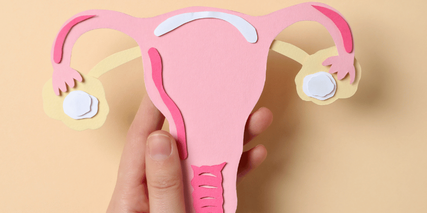 Ginecologista em Campo Mourão: Guia Completo para Cuidar da Sua Saúde Feminina com Excelência